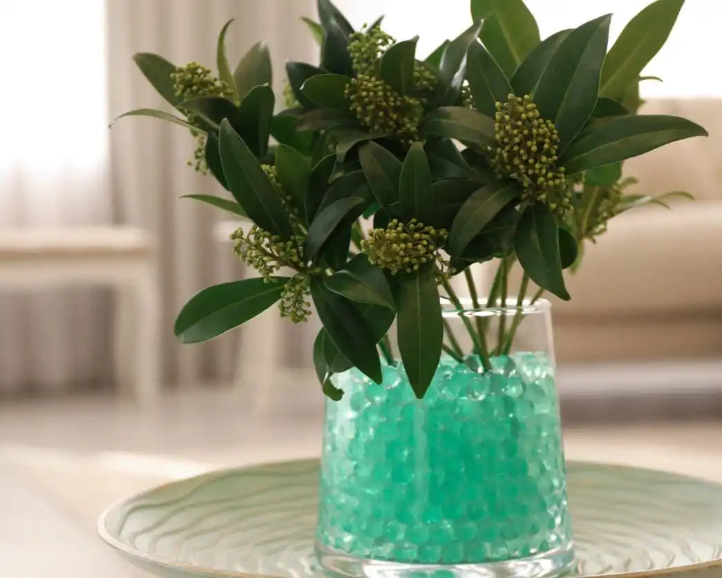 Green leafy plant in a glass vase with turquoise water beads.